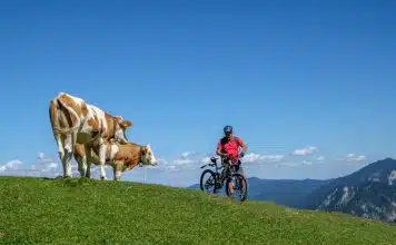 Optimisez vos séances de marche avec une application podomètre GPS gratuite pour Android