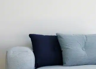 Redéfinir le confort et le style chez vous : zoom sur le canapé design !