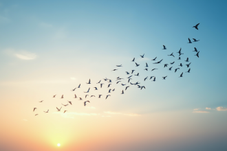 Grand groupe d'oiseaux migrateurs en V au lever du soleil